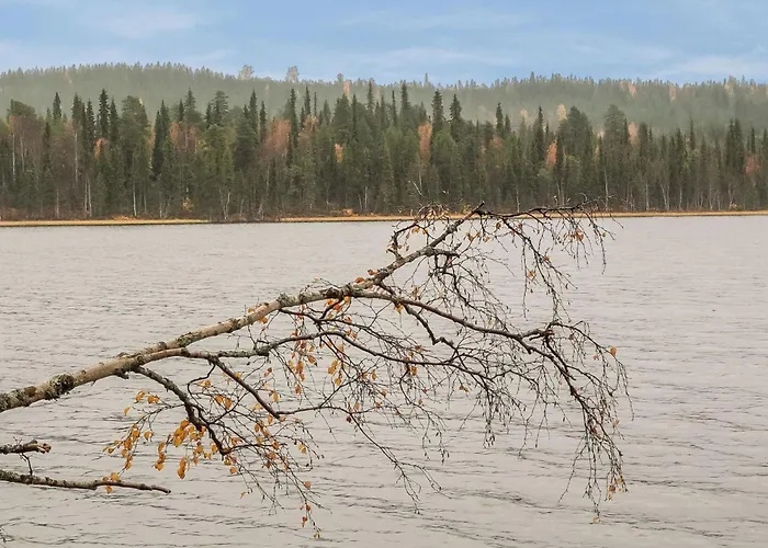 Tatil Evi Lomavaeinoe 13 By Interhome Salla